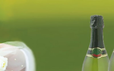 Uporabnost plastičnih kozarcev